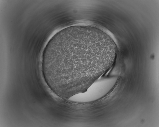 X0000099481099200805301613
