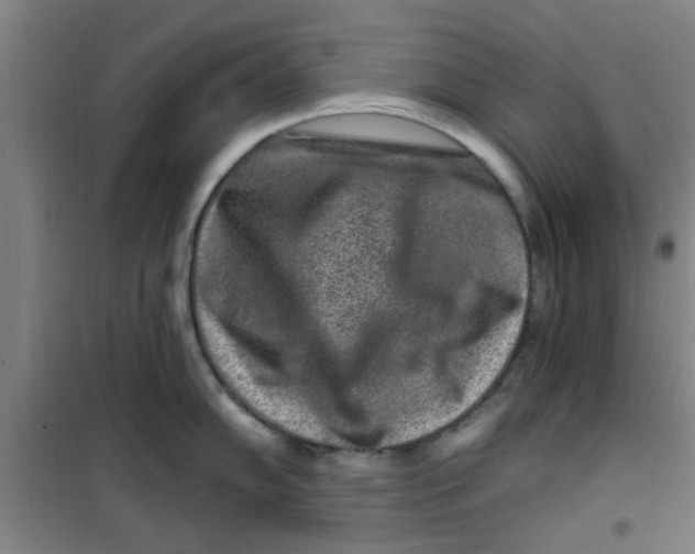 X0000099481102200805301613