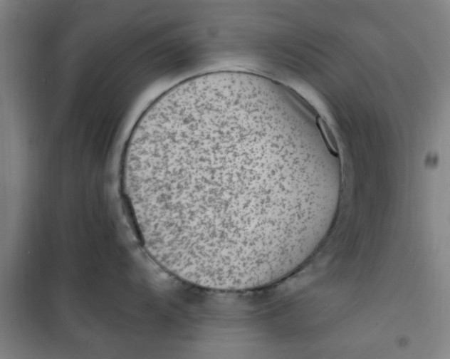 X0000099481104200805301613