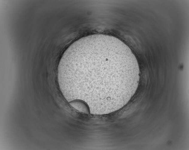 X0000099481105200805301612