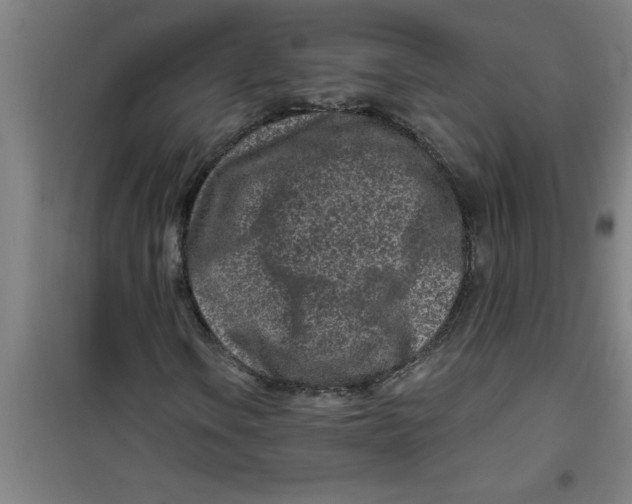 X0000099481106200805301612
