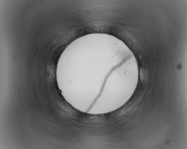X0000099481107200805301612