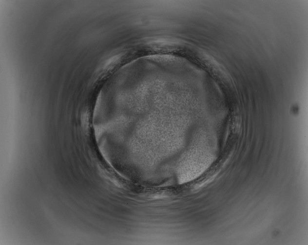 X0000099481108200805301612