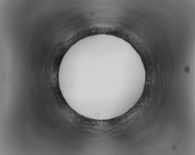 X0000099481109200805301612