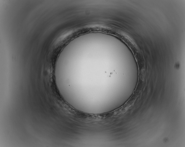 X0000099481111200805301613