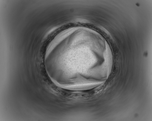 X0000099481112200805301613