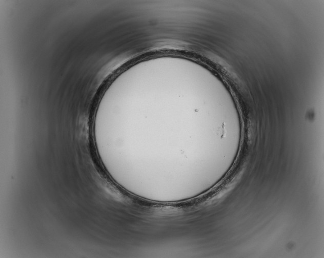 X0000099481113200805301613