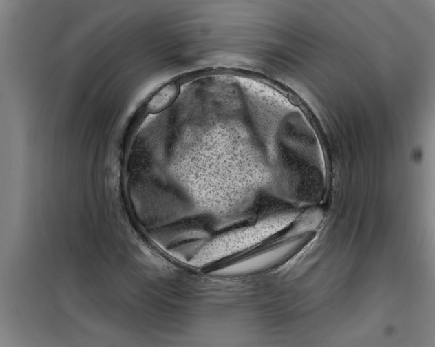 X0000099481115200805301613