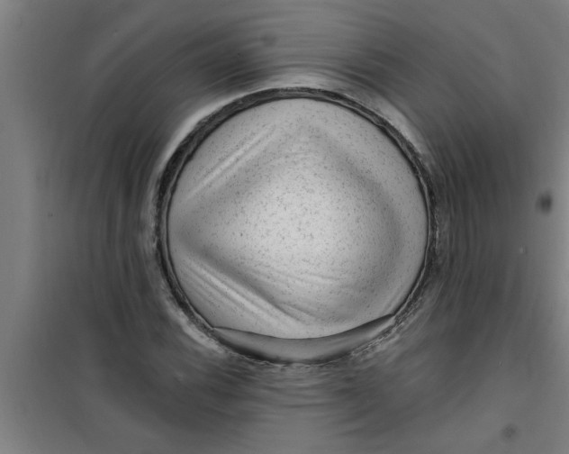 X0000099481116200805301613