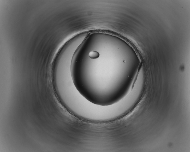 X0000099481118200805301613