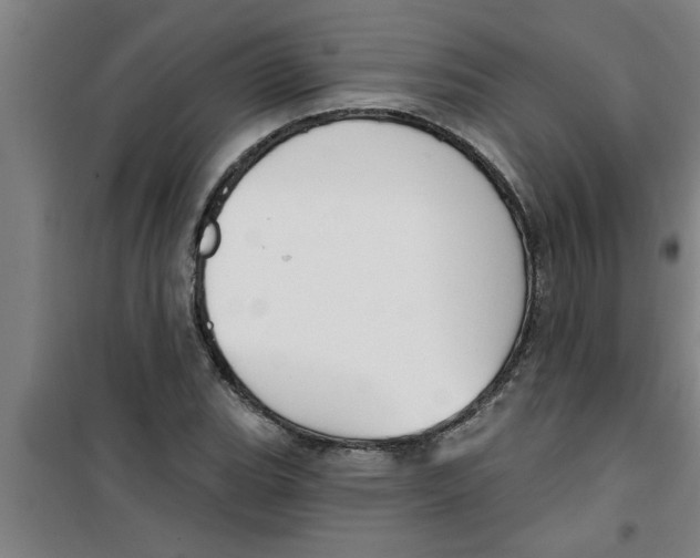 X0000099481119200805301613