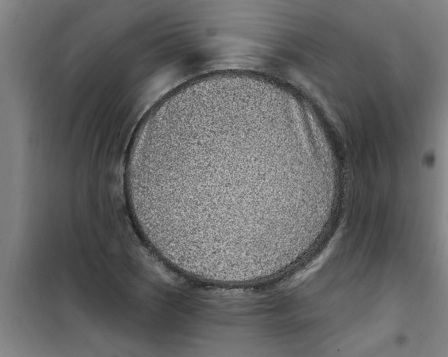 X0000099481121200805301613