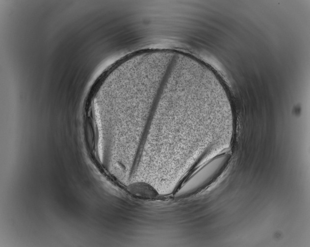 X0000099481122200805301613