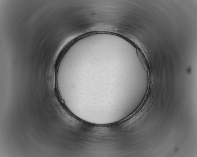 X0000099481123200805301613