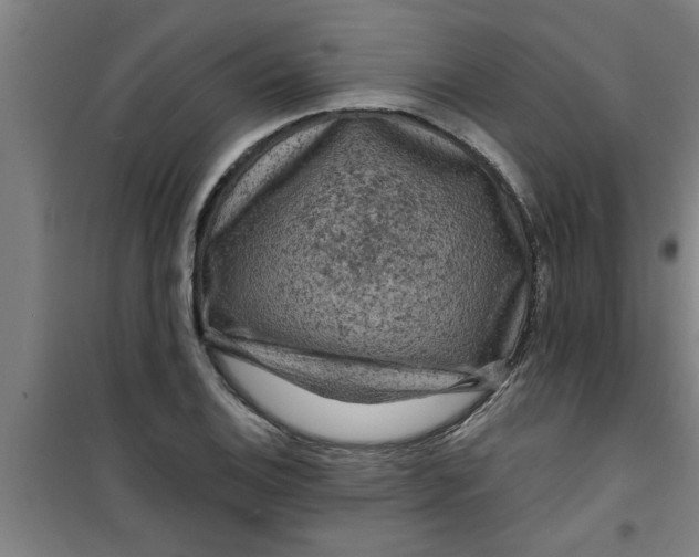 X0000099481124200805301613