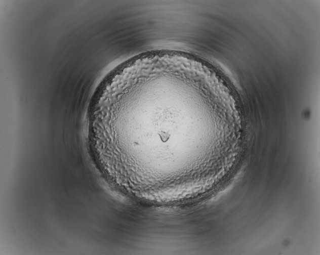 X0000099481125200805301613