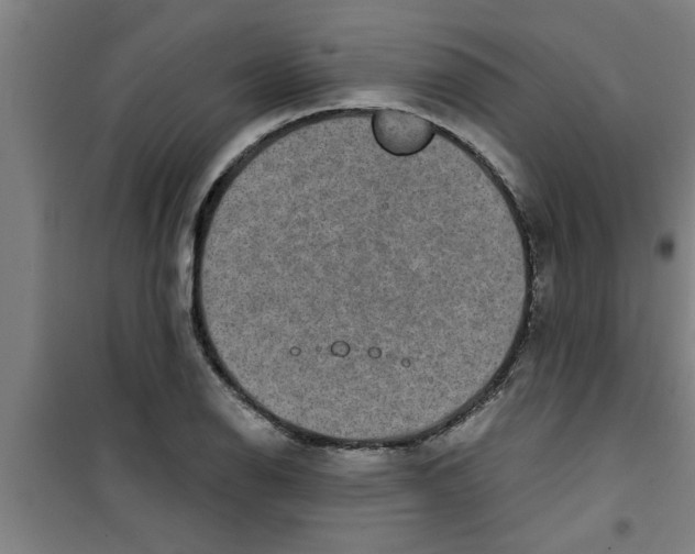 X0000099481126200805301613