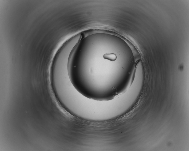 X0000099481128200805301613