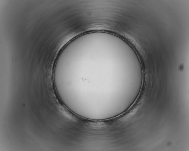 X0000099481129200805301613