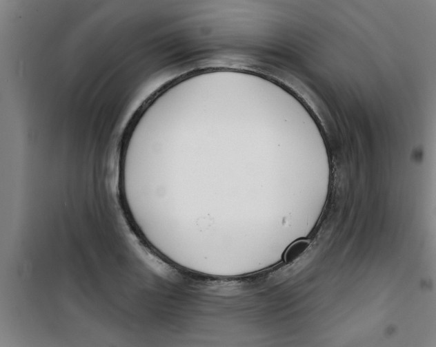 X0000099481131200805301613