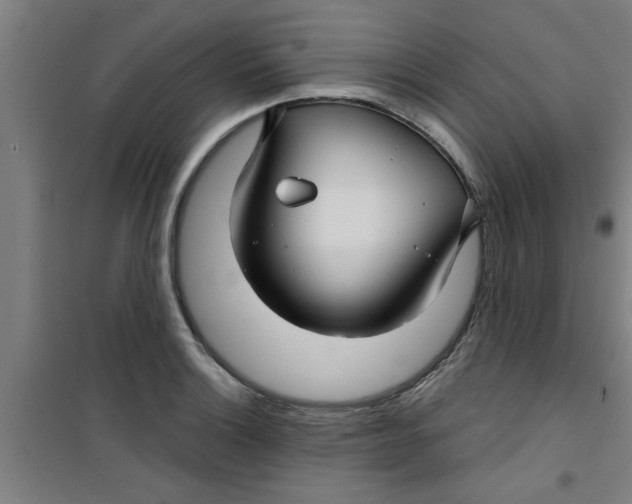 X0000099481132200805301613