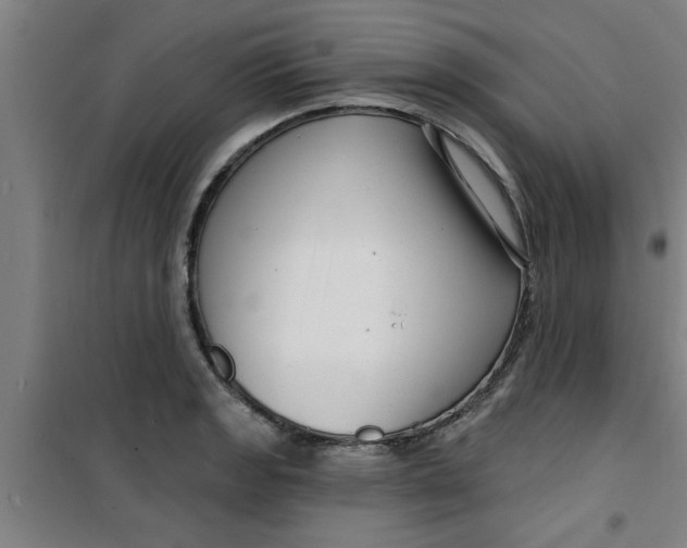 X0000099481133200805301613