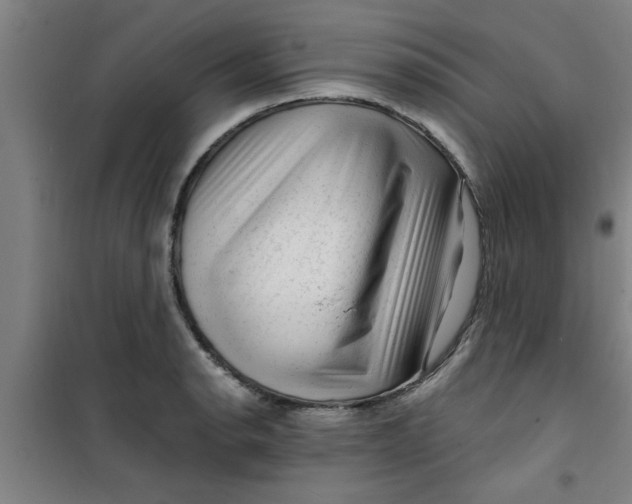 X0000099481134200805301613