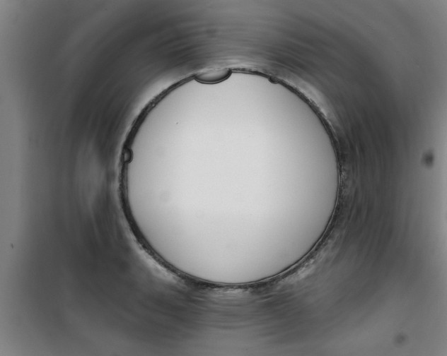X0000099481135200805301613