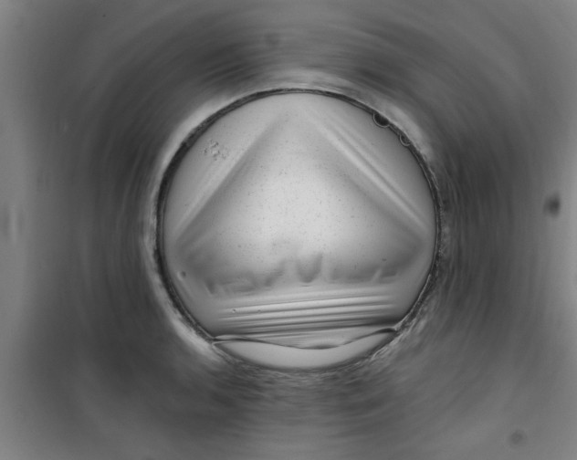 X0000099481136200805301613