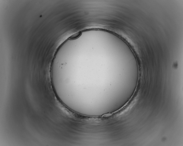 X0000099481137200805301613