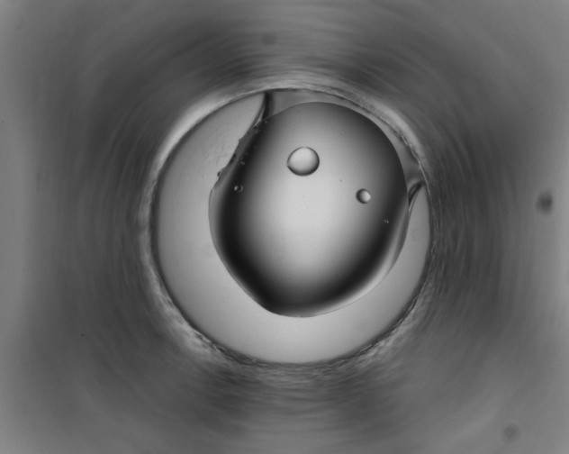 X0000099481138200805301613