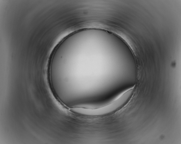 X0000099481139200805301613