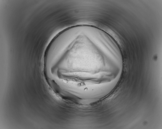 X0000099481140200805301613