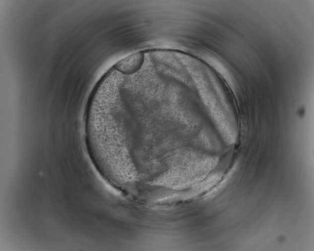 X0000099481141200805301613
