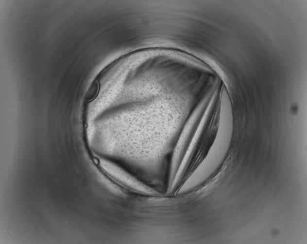 X0000099481142200805301613