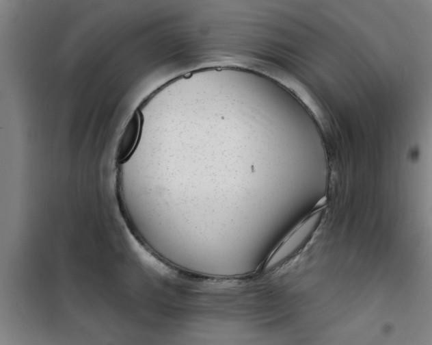 X0000099481143200805301613