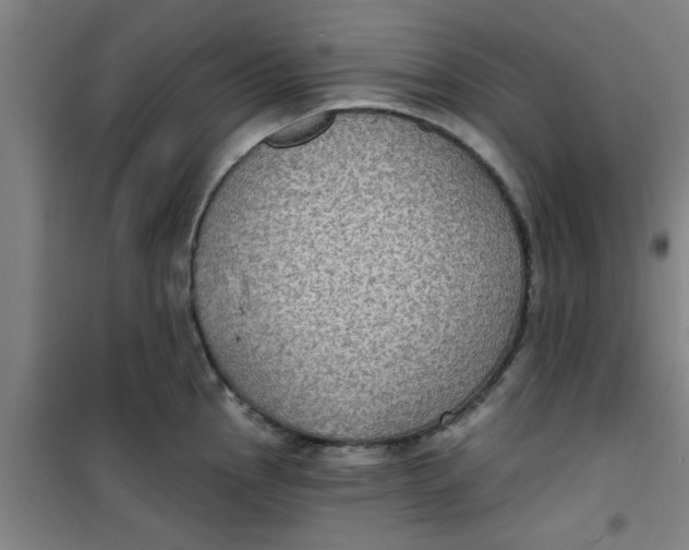 X0000099481145200805301613