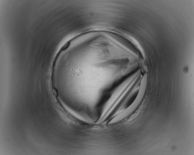 X0000099481146200805301613