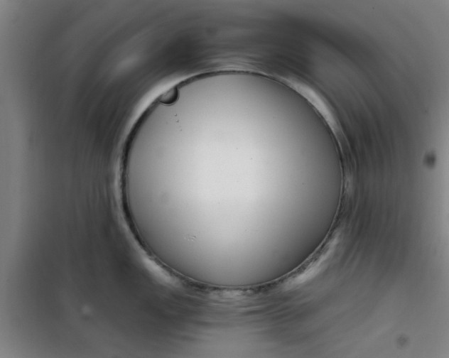X0000099481149200805301613
