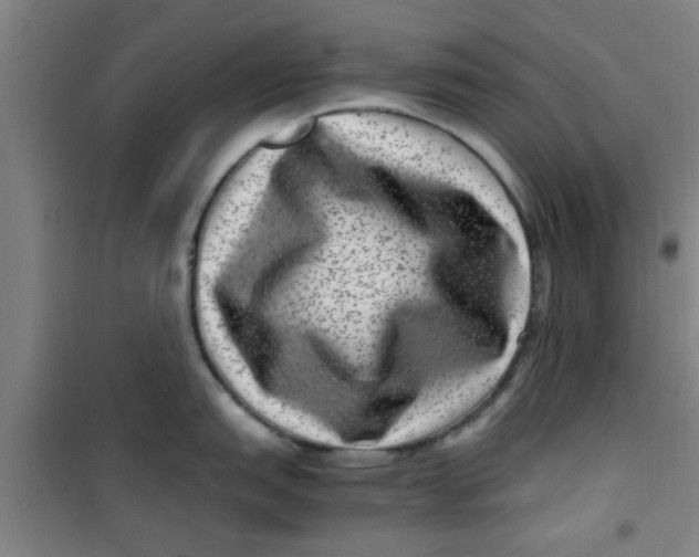 X0000099481151200805301613