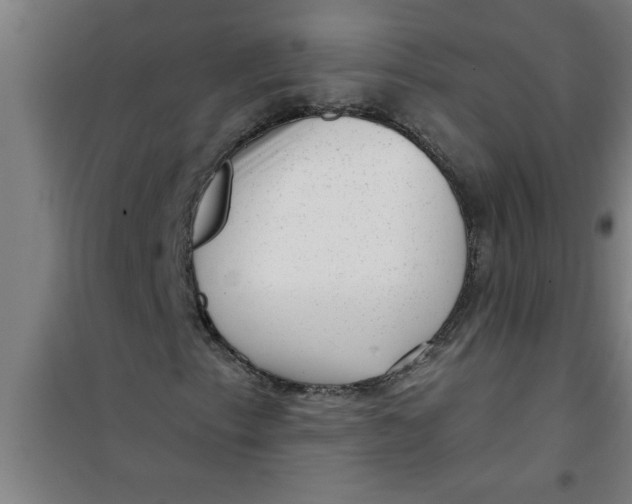 X0000099481153200805301612