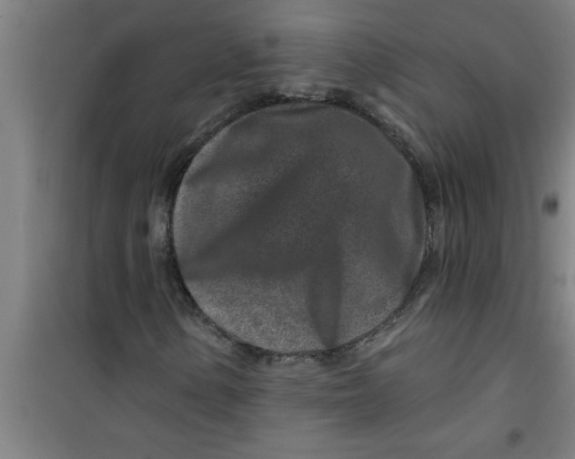 X0000099481154200805301612
