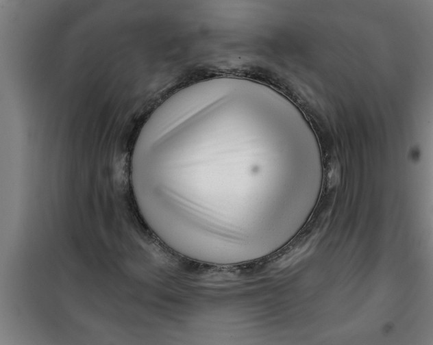 X0000099481156200805301612