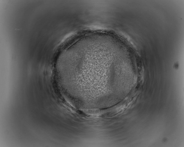 X0000099481157200805301612
