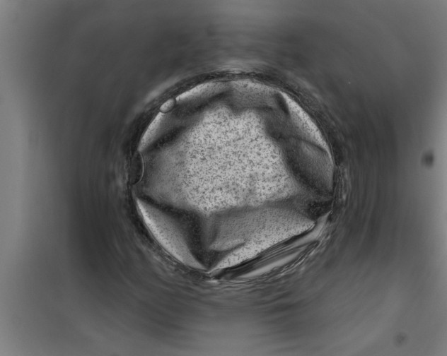 X0000099481158200805301612