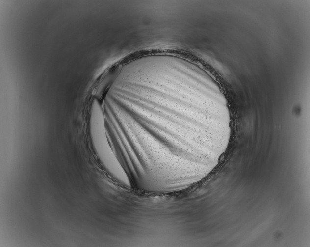 X0000099481160200805301612