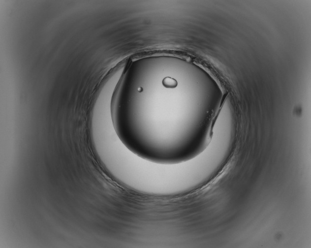 X0000099481161200805301612