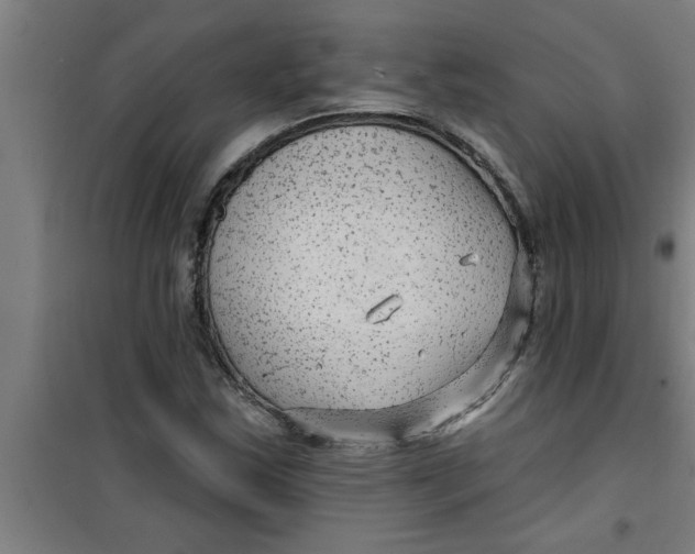 X0000099481163200805301612