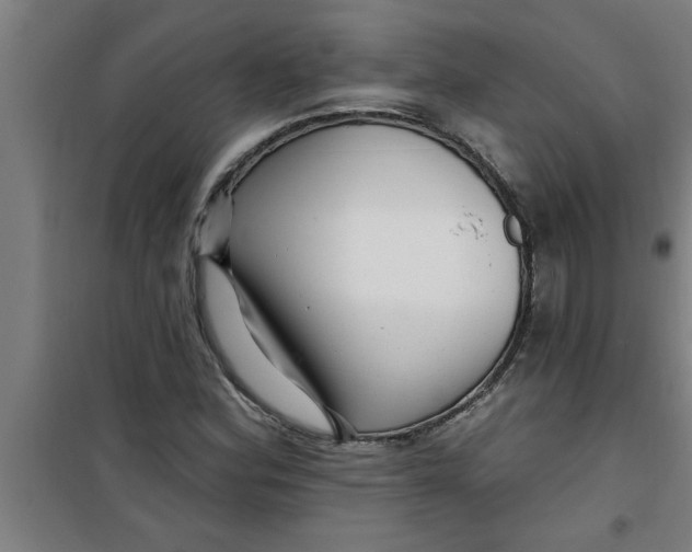 X0000099481164200805301612