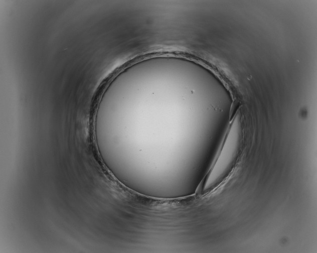 X0000099481165200805301612